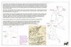 loa18 halmahera_thumb.gif